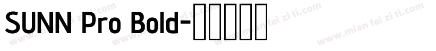SUNN Pro Bold字体转换